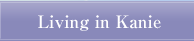 Living Information