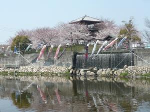 創郷公園人口滝