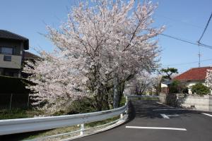 藤丸第二公園