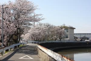 須西小学校（蟹江川西側）