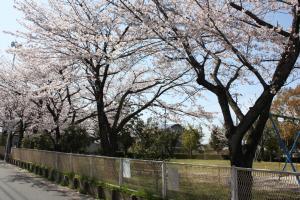 緑公園