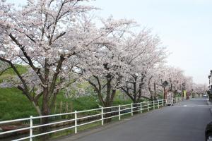 南蟹江団地用水路沿い