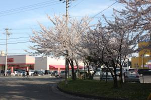 富吉グリーンハイツ南公園の南