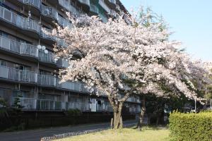 富吉グリーンハイツ（敷地内）