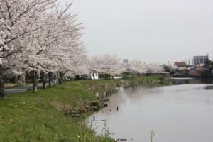 西之森佐屋川東沿い