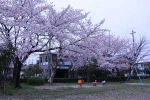 源氏公園