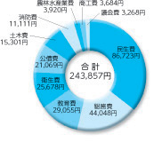 町民1人あたりに使われたお金