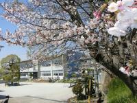 桜と中校舎